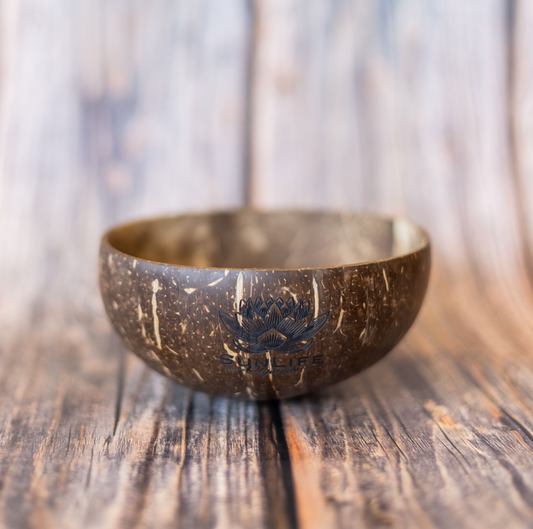 Coconut Shell Bowl-1