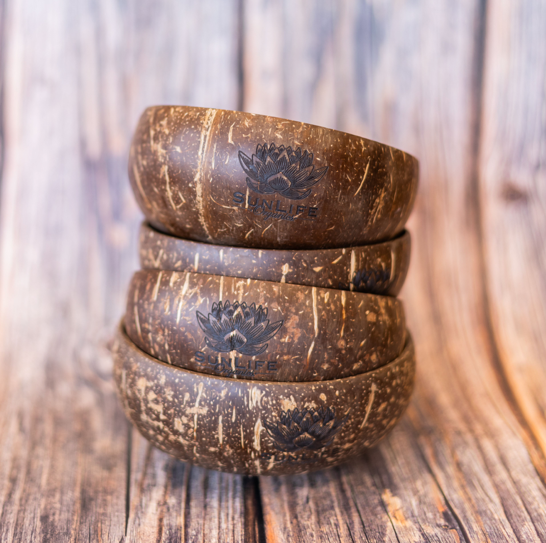 Coconut Shell Bowl