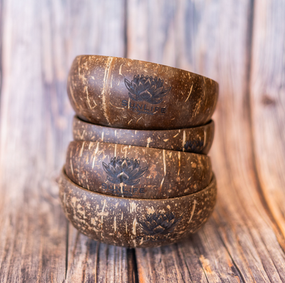 Coconut Shell Bowl